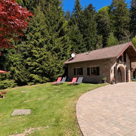 Σπίτι διακοπών Dans Les Vosges - 4 Pers. - Fr-1-589-862