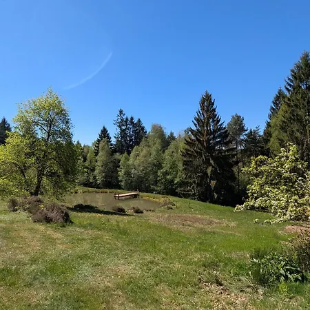 Σπίτι διακοπών Dans Les Vosges - 4 Pers. - Fr-1-589-862